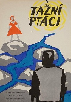 Tažní ptáci