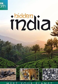 Hidden India