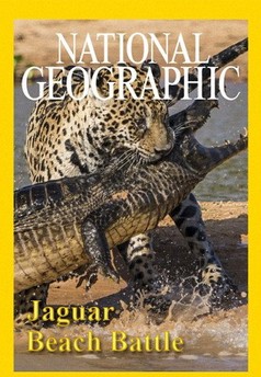 Pláž jaguárů