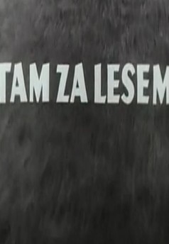 Tam za lesem