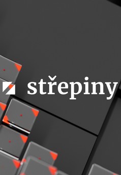 Střepiny