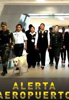 Alerta Aeropuerto: Perú