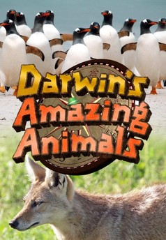 Darwinův úžasný svět zvířat