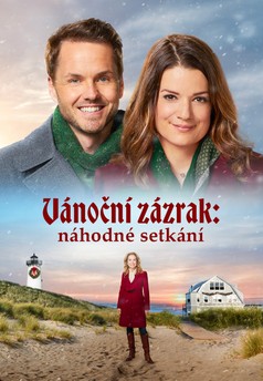 Vánoční zázrak: Náhodné setkání