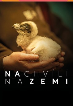 Na chvíli na Zemi