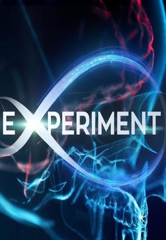 Experiment