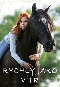 Rychlý jako vítr
