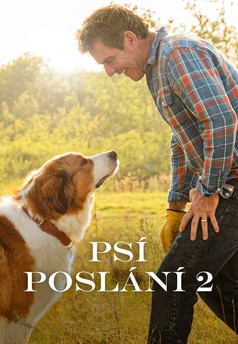 Psí poslání 2
