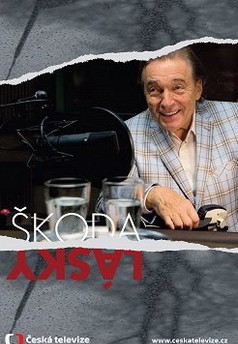 Škoda lásky