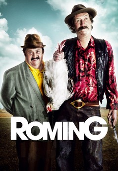 ROMing
