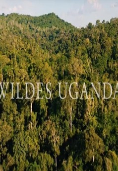 Divoká Uganda