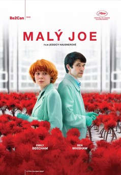 Malý Joe