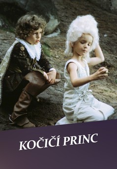 Kočičí princ