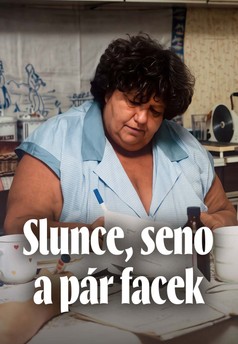 Slunce, seno a pár facek