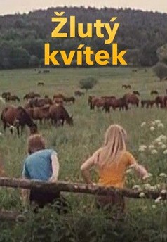 Žlutý kvítek