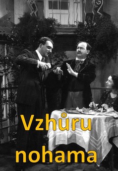 Vzhůru nohama
