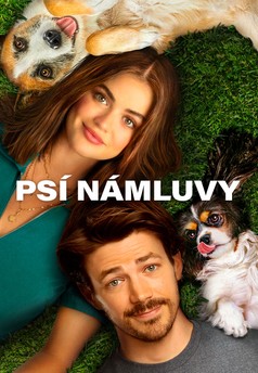 Psí námluvy