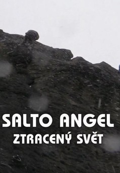 Salto Angel - ztracený svět