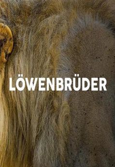 Brotherhood of Lions