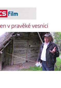 Den v pravěké vesnici