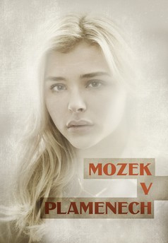 Mozek v plamenech