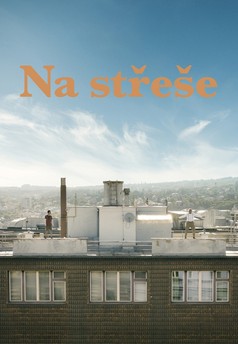 Na střeše