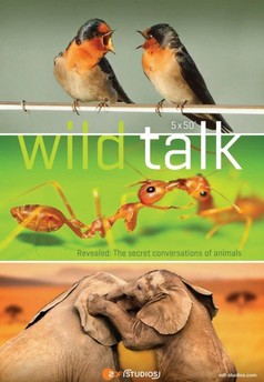 Wild Talk