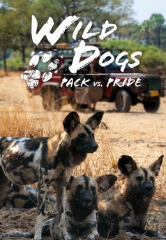 Wild Dogs: Pack vs. Pride