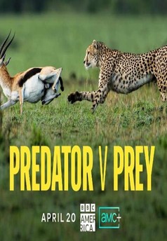 Predator v Prey