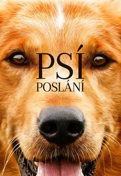 Psí poslání