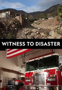 Witness to Disaster