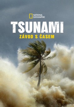 Tsunami: Race Against Time