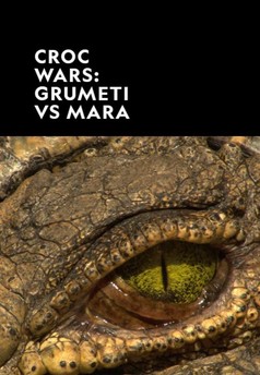 Krokodýlí války: Grumeti vs. Mara