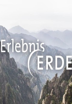 Estonská říše losů