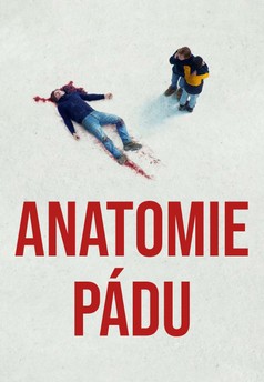 Anatomie pádu