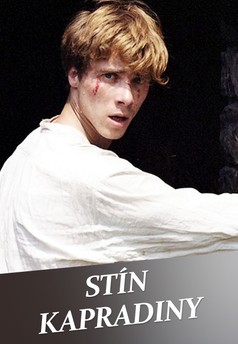 Stín kapradiny