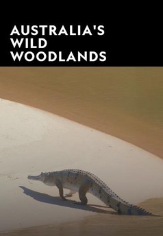 Divoké lesy Austrálie