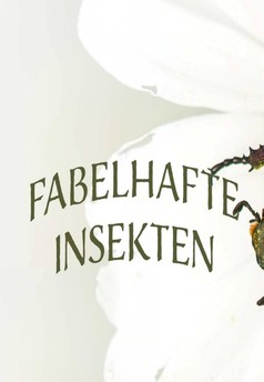 Fabulous Insects