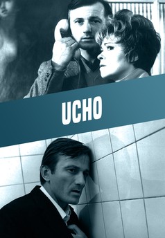 Ucho