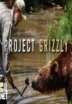 Projekt Grizzly