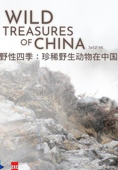 Wild Treasures of China