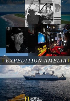 Expedice Amelia