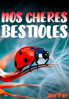 Nos cheres bestioles