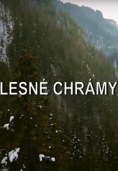 Lesné chrámy