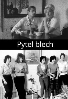 Pytel blech