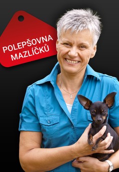 Polepšovna mazlíčků