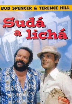 Sudá a lichá