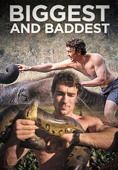 Biggest and Baddest