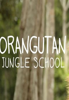 Orangutaní škola v džungli