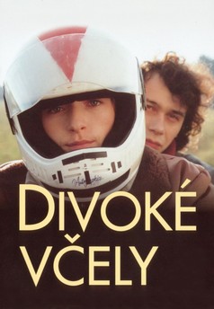 Divoké včely